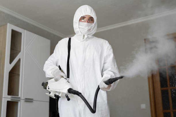 Why You Should Choose Our Mold Remediation Services in Orange Lake, NY